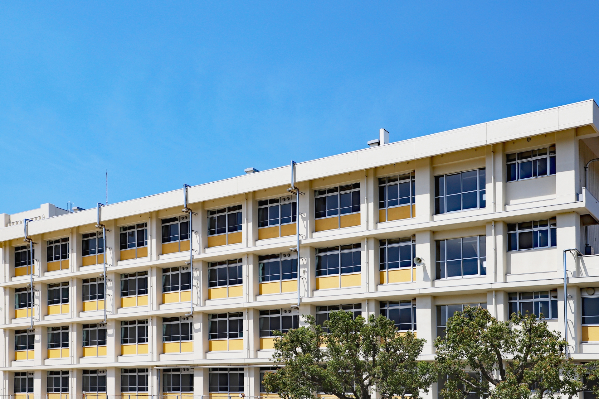 学校